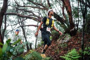 BIB: 
                            <button type="button" onclick="openModal(26296501)" class="btn btn-primary btn-sm float-right btn-popup" data-toggle="modal" data-target=".modal-high-quality">
                        <i class="fas fa-shopping-cart"></i> Add to Cart
                    </button>
                                            <button type="button" onclick="isThisMe(26296501, true)" class="btn btn-success btn-sm float-right btn-popup btn-isme hidden" data-toggle="tooltip" data-placement="bottom" title="นี่คือรูปของคุณใช่ไหม คลิกที่นี่เพื่อเอาเข้าอัลบั้ม">
                        <i class="fas fa-plus"></i> Add to album
                    </button>
                    <button type="button" onclick="isThisMe(26296501, false)" class="btn btn-warning btn-sm float-right btn-popup btn-isnotme hidden">
                        <i class="fas fa-ban"></i> Remove from album
                    </button>